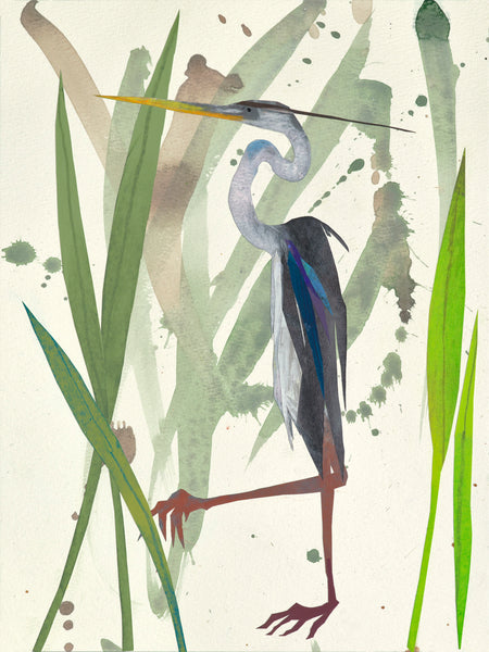 Perusing the Marsh