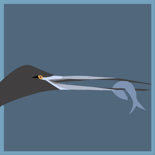Heron