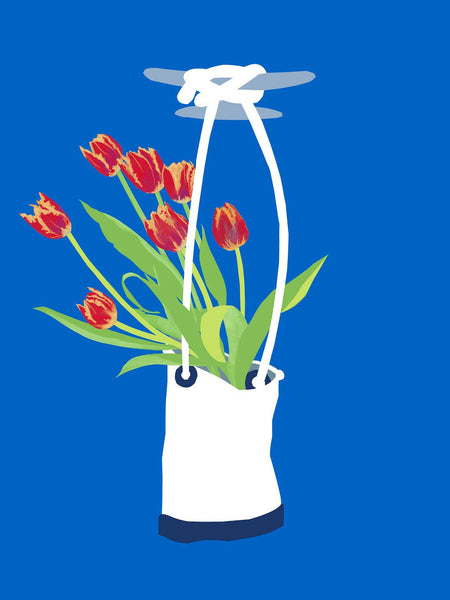 Cleat with Canvas Bag