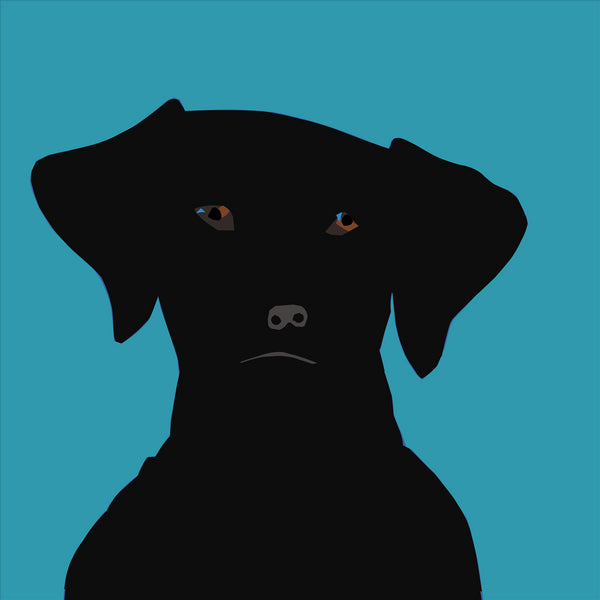 Black Lab