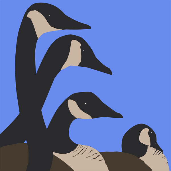 Geese