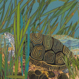 Bay Inhabitants, Portfolio of Four Prints