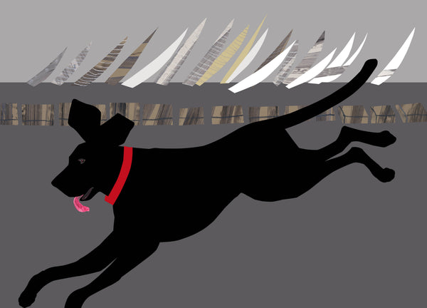 Leaping Lab
