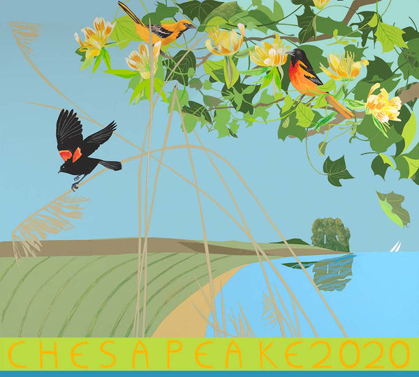 2020 Annual Poster, Ode to Audubon