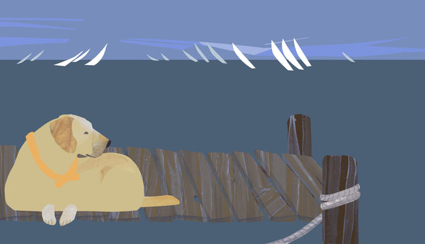 Yellow Lab on Finger Pier