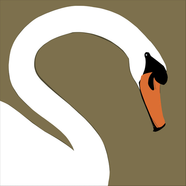 Swan