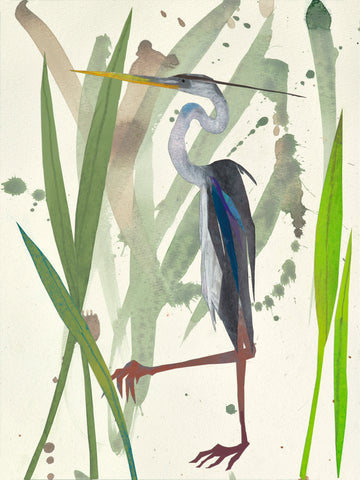 Perusing the Marsh