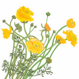 Assorted Floral Note Cards