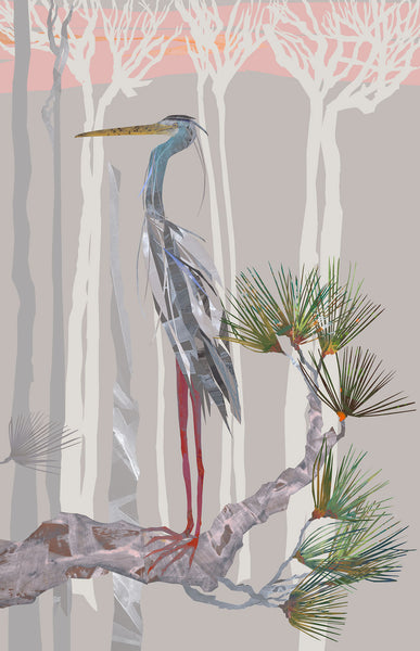 Heron on Pine Branch