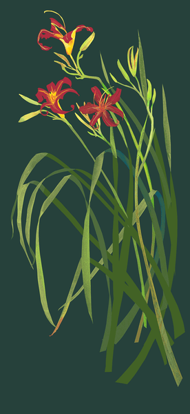 Tall Lilies on Green