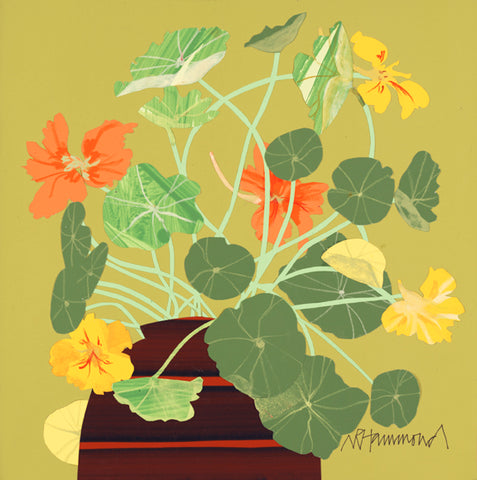 Nasturtium on Olde Gold II